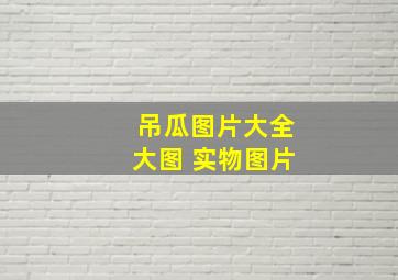 吊瓜图片大全大图 实物图片